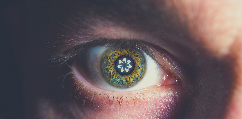 WorldcoinĴđӋȫ10|˿Ͷ؛ DƬ